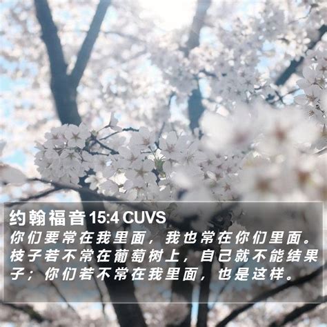 你是葡萄樹|約 翰 福 音 15:5 CUV